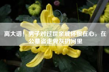 离大谱！男子对过世亲戚怀恨在心，在公墓盗走骨灰扔河里