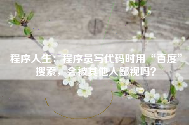 程序人生：程序员写代码时用“百度”搜索，会被其他人鄙视吗？
