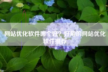 网站优化软件哪个好？好用的网站优化软件推荐