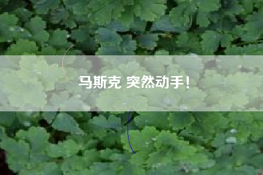 马斯克 突然动手！