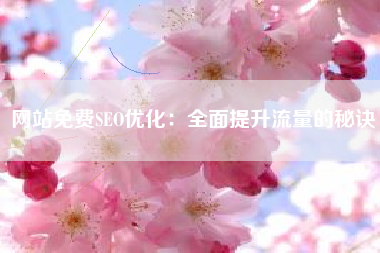 网站免费SEO优化：全面提升流量的秘诀