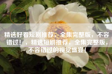 精选好看短剧推荐，全集完整版，不容错过！，精选短剧推荐，全集完整版，不容错过的视觉盛宴！