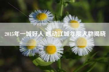 2015年一城好人 感动江城年度人物揭晓