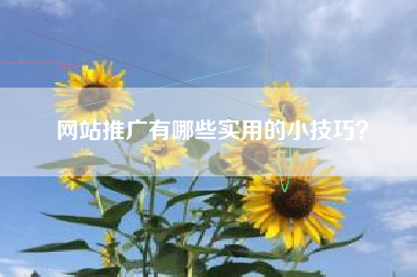 网站推广有哪些实用的小技巧？