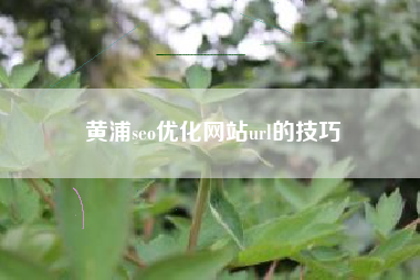 黄浦seo优化网站url的技巧