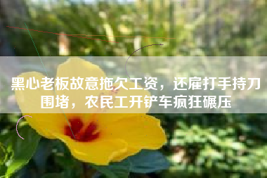 黑心老板故意拖欠工资，还雇打手持刀围堵，农民工开铲车疯狂碾压