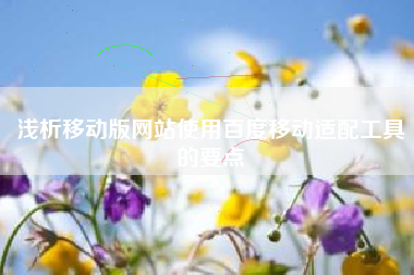 浅析移动版网站使用百度移动适配工具的要点