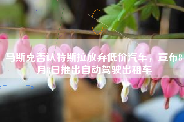 马斯克否认特斯拉放弃低价汽车，宣布8月8日推出自动驾驶出租车