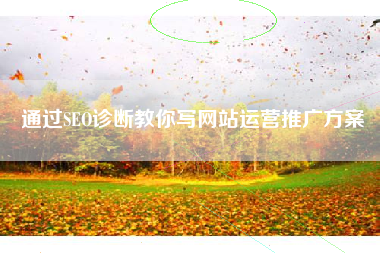 通过SEO诊断教你写网站运营推广方案