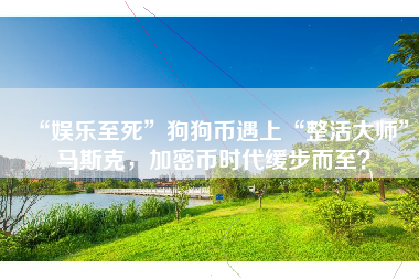 “娱乐至死”狗狗币遇上“整活大师”马斯克，加密币时代缓步而至？