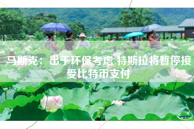 马斯克：出于环保考虑 特斯拉将暂停接受比特币支付