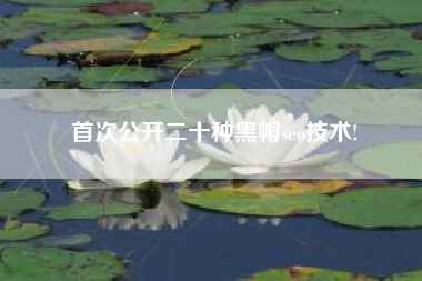 首次公开二十种黑帽seo技术!