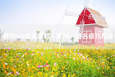黄冈SEO优化策略（黄冈seo排名技巧方法）