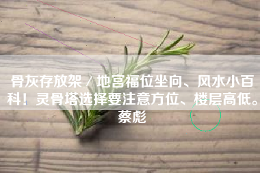 骨灰存放架／地宫福位坐向、风水小百科！灵骨塔选择要注意方位、楼层高低。蔡彪