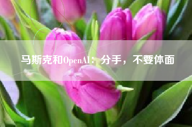马斯克和OpenAI：分手，不要体面