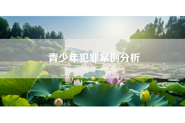 青少年犯罪案例分析