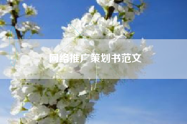 网络推广策划书范文