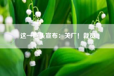 这一巨头宣布:关厂!裁员 这一巨头宣布:关厂!裁员