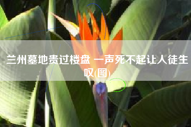 兰州墓地贵过楼盘 一声死不起让人徒生叹(图)