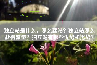 独立站是什么，怎么建站？独立站怎么获得流量？独立站有哪些优势和劣势？