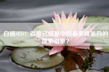 白杨SEO：百度已经是中国最多排第四的搜索引擎？
