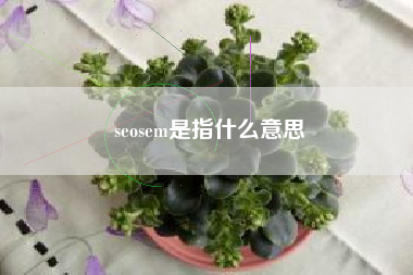 seosem是指什么意思
