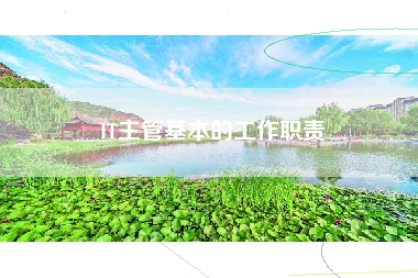 IT主管基本的工作职责