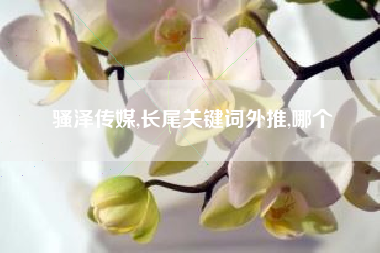 骚泽传媒,长尾关键词外推,哪个