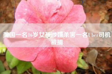 美国一名16岁女孩涉嫌杀害一名Uber司机被捕