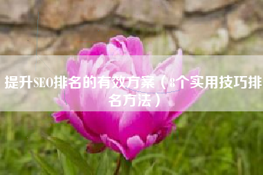 提升SEO排名的有效方案（8个实用技巧排名方法）