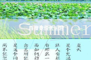 百度竞价代运营