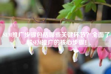 SEM推广步骤包括哪些关键环节？全面了解SEM推广的核心步骤！