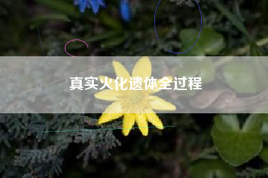 真实火化遗体全过程