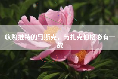 收购推特的马斯克，与扎克伯格必有一战