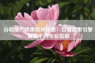 谷歌推广效果如何评估：百度搜索引擎算法下的专业指南