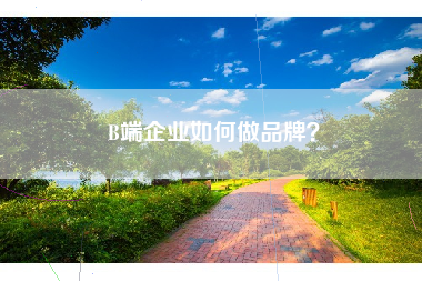 B端企业如何做品牌？