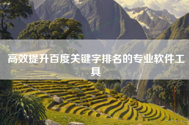 高效提升百度关键字排名的专业软件工具