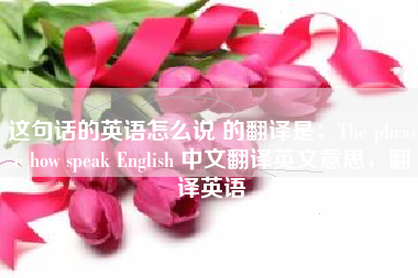这句话的英语怎么说 的翻译是:The phrase how speak English 中文翻译英文意思,翻译英语 这句话的英语怎么说 的翻译是:The phrase how speak English 中文翻译英文意思,翻译英语