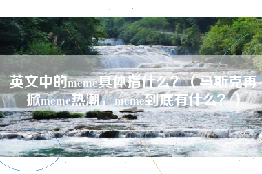 英文中的meme具体指什么？（马斯克再掀meme热潮，meme到底有什么？）