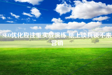SEO优化应注重实战演练 纸上谈兵谈不来营销
