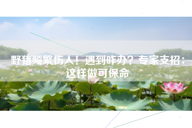 野猪频繁伤人！遇到咋办？专家支招：这样做可保命