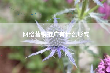 网络营销推广有什么形式