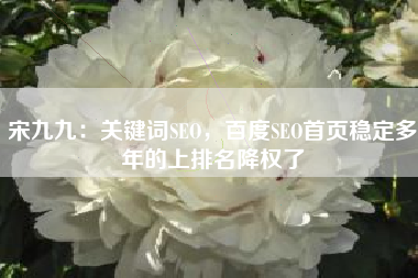 宋九九：关键词SEO，百度SEO首页稳定多年的上排名降权了