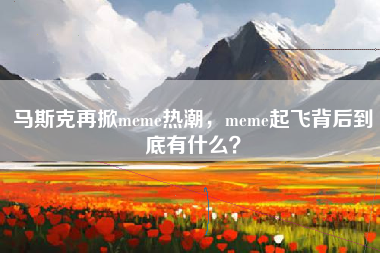 马斯克再掀meme热潮，meme起飞背后到底有什么？