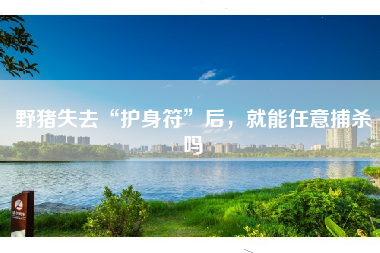 野猪失去“护身符”后，就能任意捕杀吗