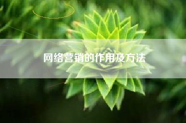 网络营销的作用及方法