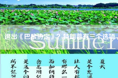 退出《巴黎协定》？特朗普有三个选项