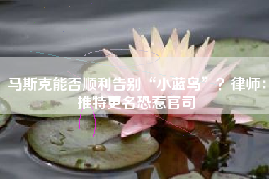 马斯克能否顺利告别“小蓝鸟”？律师：推特更名恐惹官司
