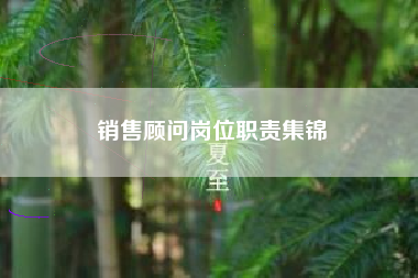 销售顾问岗位职责集锦