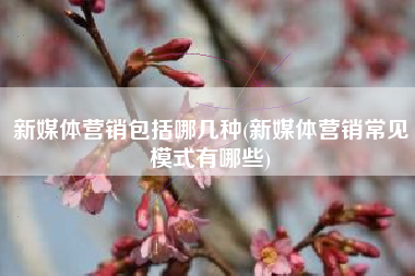 新媒体营销包括哪几种(新媒体营销常见模式有哪些)